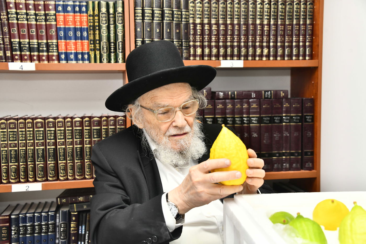 הגאון רבי משה הלל הירש בודק אתרוגים