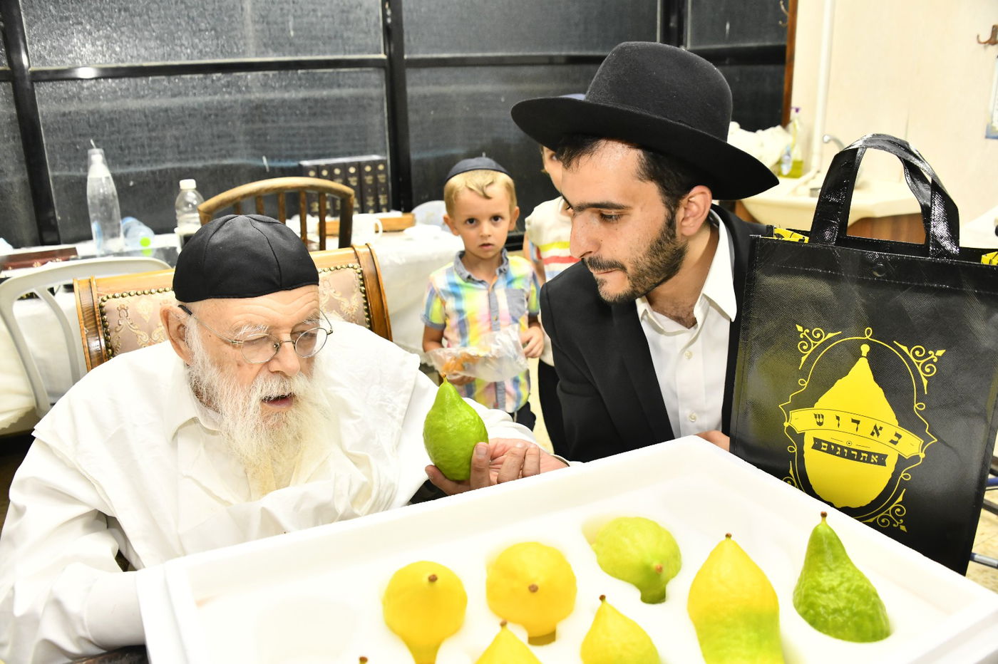 הגאון רבי מאיר גריינמן בודק אתרוג