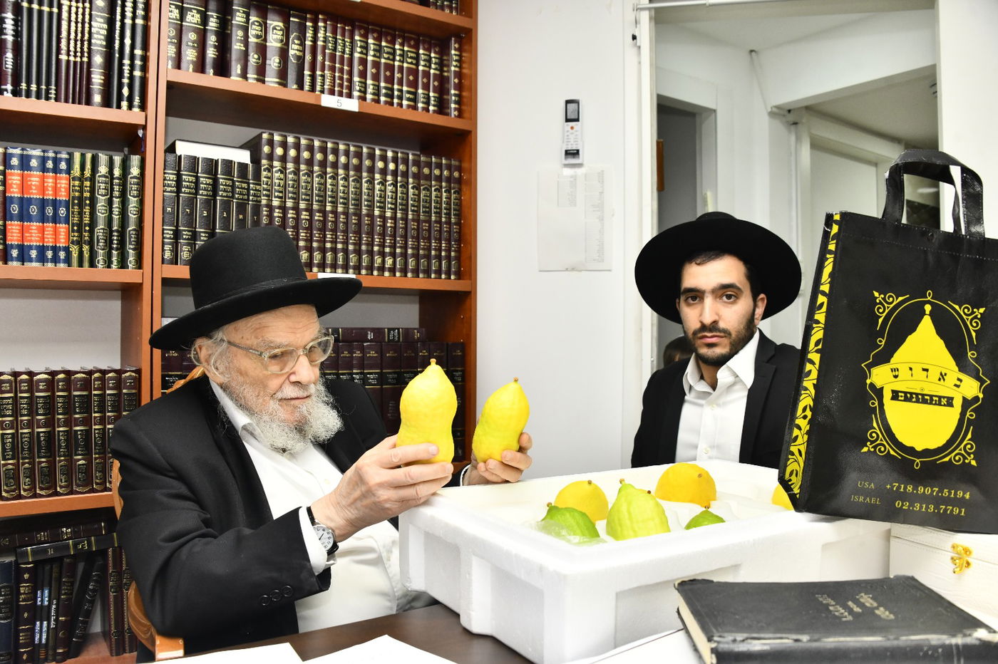 הגאון רבי משה הלל הירש בודק אתרוגים
