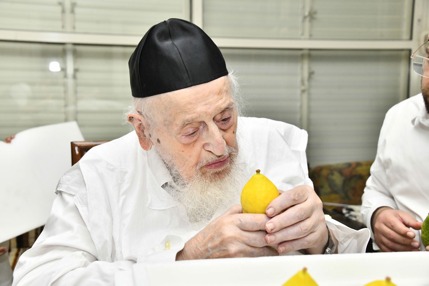 הגאון רבי מאיר צבי ברגמן בודק אתרוגים