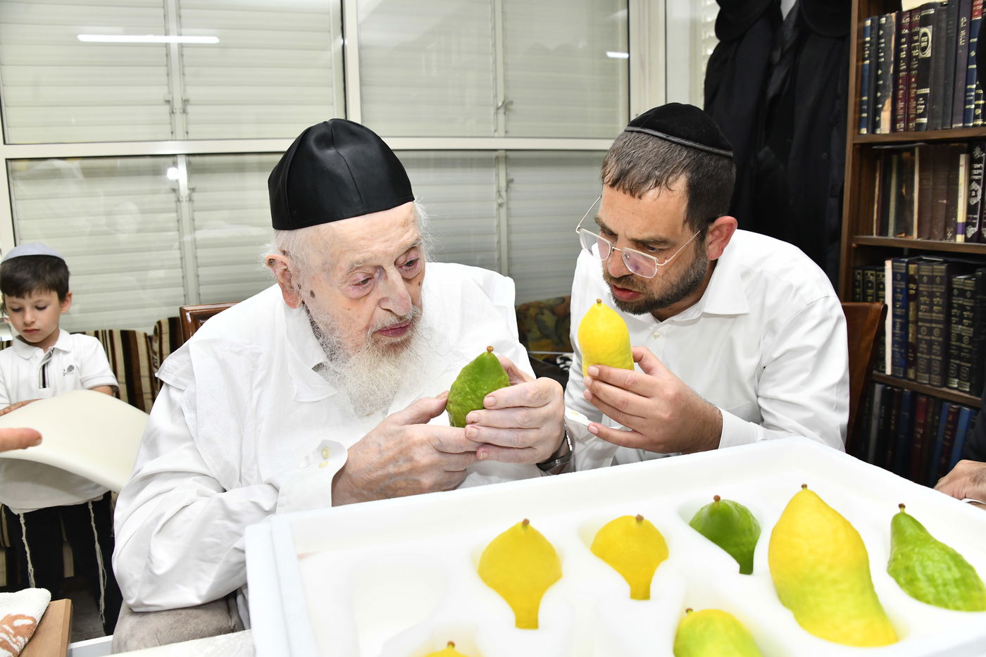 הגאון רבי מאיר צבי ברגמן בודק אתרוגים