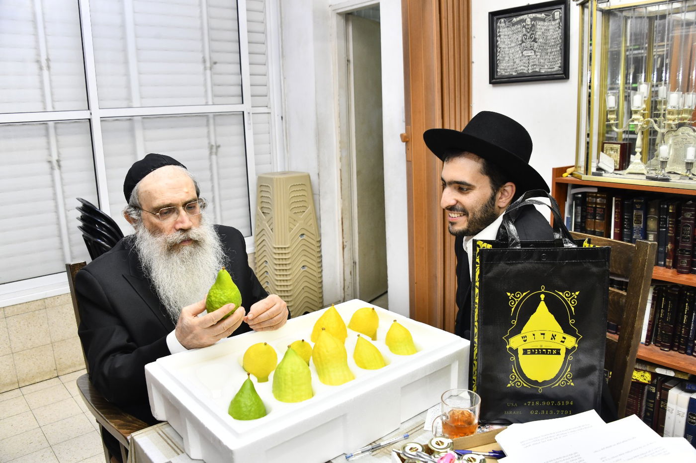 הגאון רבי שרגא שטיינמן בבדיקת אתרוגים