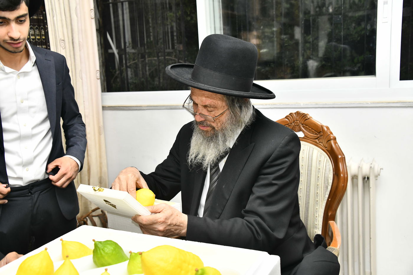 הגאון רבי דוד כהן בבדיקת אתרוגים