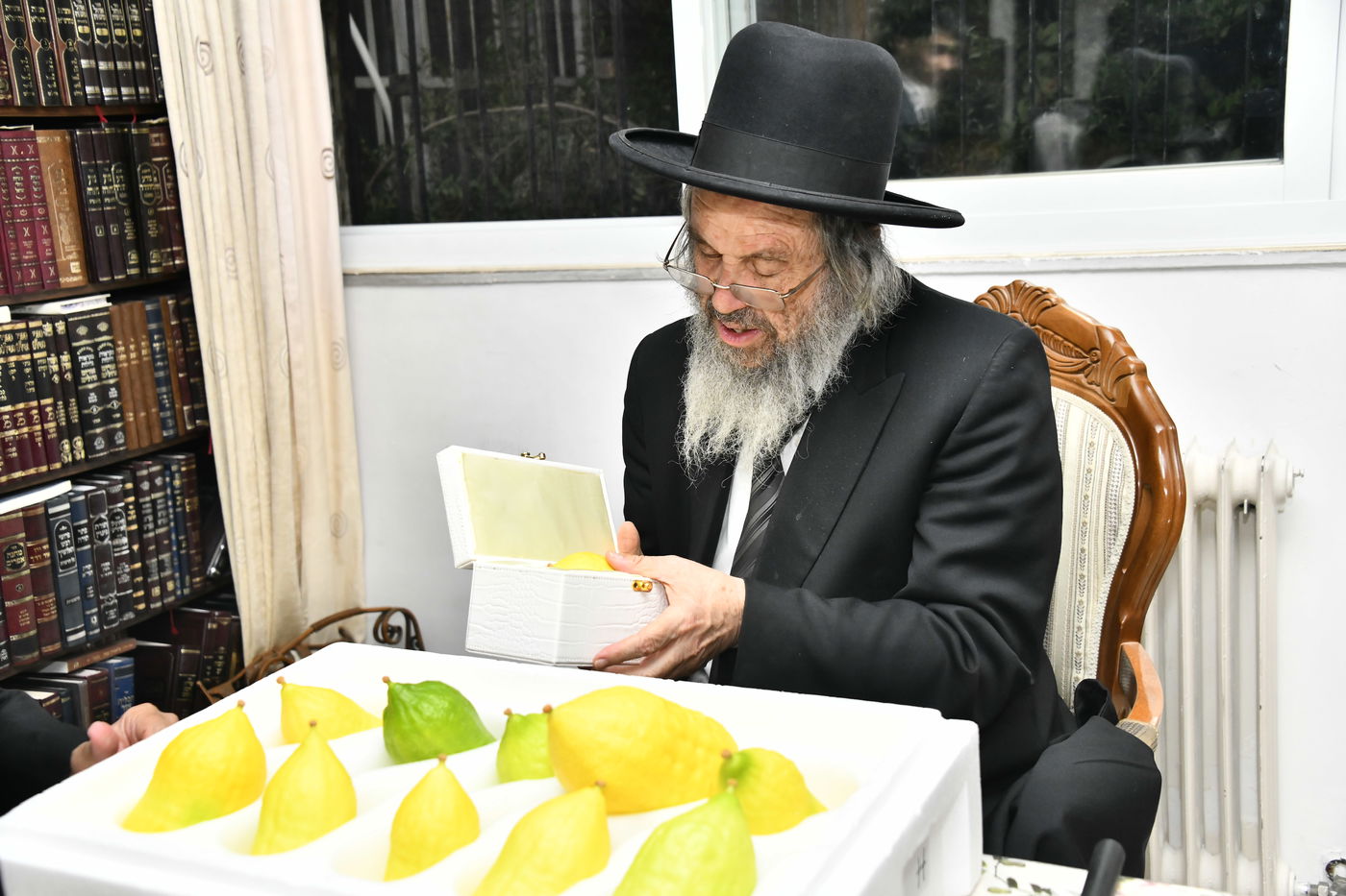 הגאון רבי דוד כהן בבדיקת אתרוגים