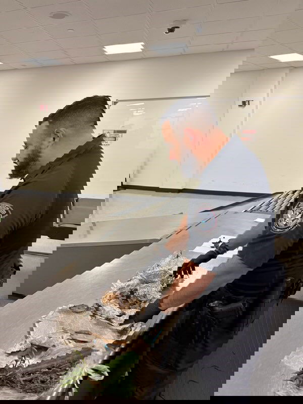 המזוודה שנתפסה