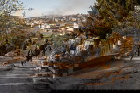 פעילות כוחות צה״ל בלבנון