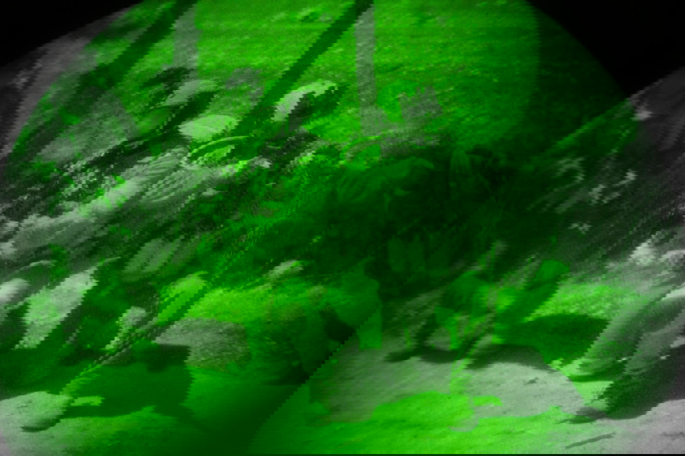 פעילות כוחות צה״ל במבצע