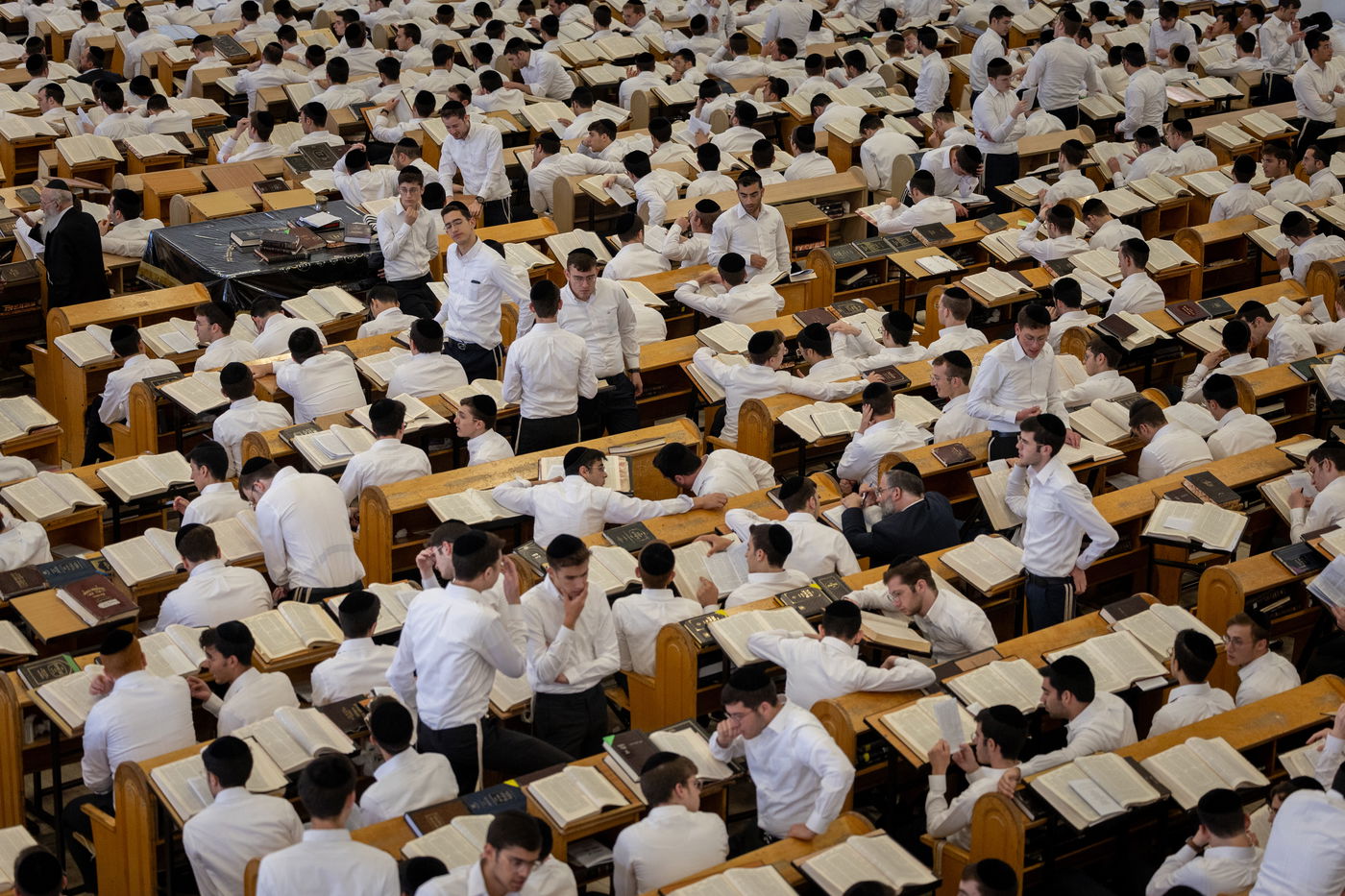 שטייגען ב'חברון'