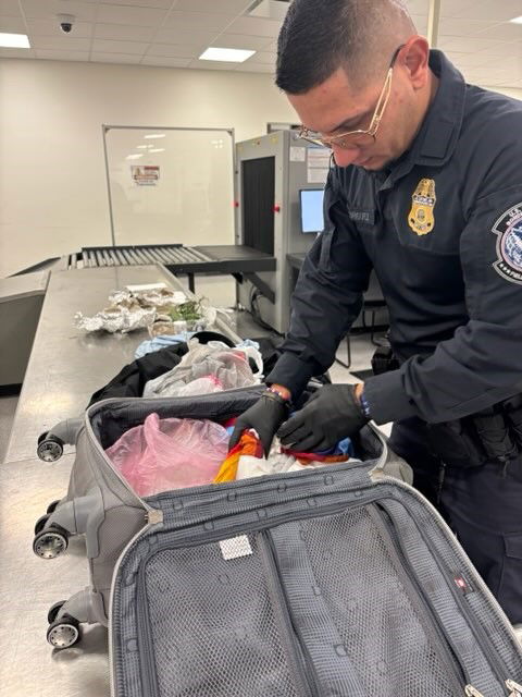 המזוודה שנתפסה