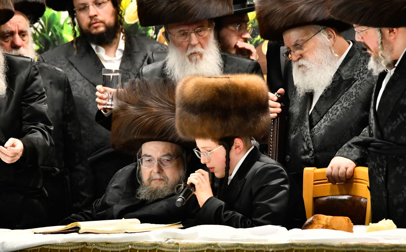 שמחת בר המצווה לנכד האדמו"ר מבעלזא