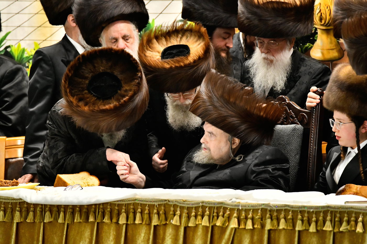 שמחת בר המצווה לנכד האדמו"ר מבעלזא