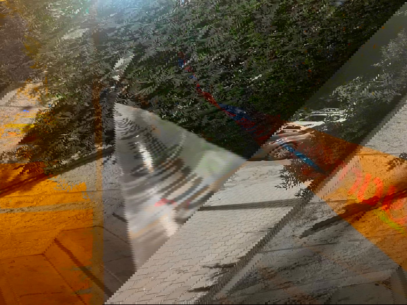 הכניסה לזירה