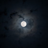 נפתרה התעלומה. הירח