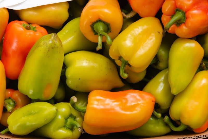  ערב השנה החדשה בקהילה היהודית במוסקבה 