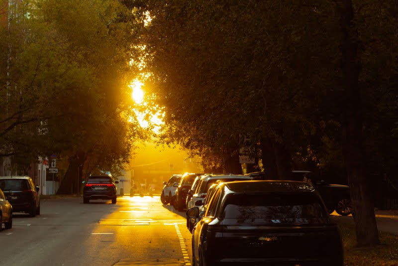  ערב השנה החדשה בקהילה היהודית במוסקבה 