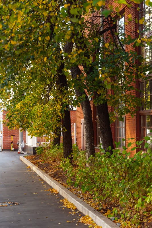  ערב השנה החדשה בקהילה היהודית במוסקבה 