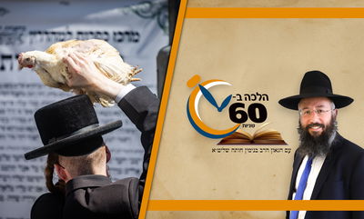 עושים כפרות על תרנגול? זה מה שאתם חייבים להקפיד • צפו 