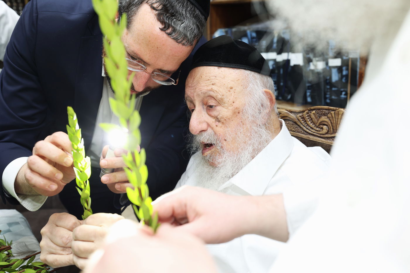 הגרב"ד פוברסקי בבחירת ד' מינים