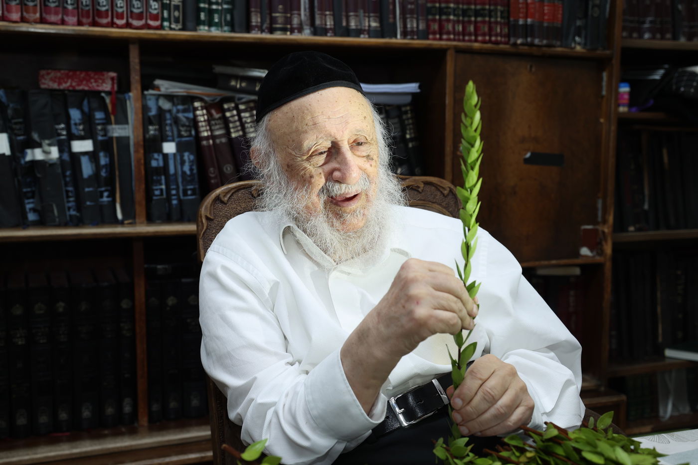 הגרב"ד פוברסקי בבחירת ד' מינים