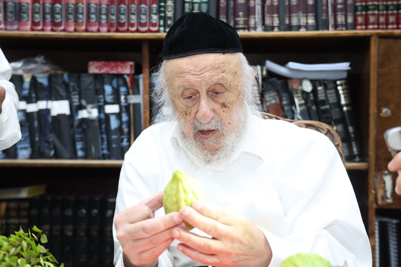 הגרב"ד פוברסקי בבחירת ד' מינים