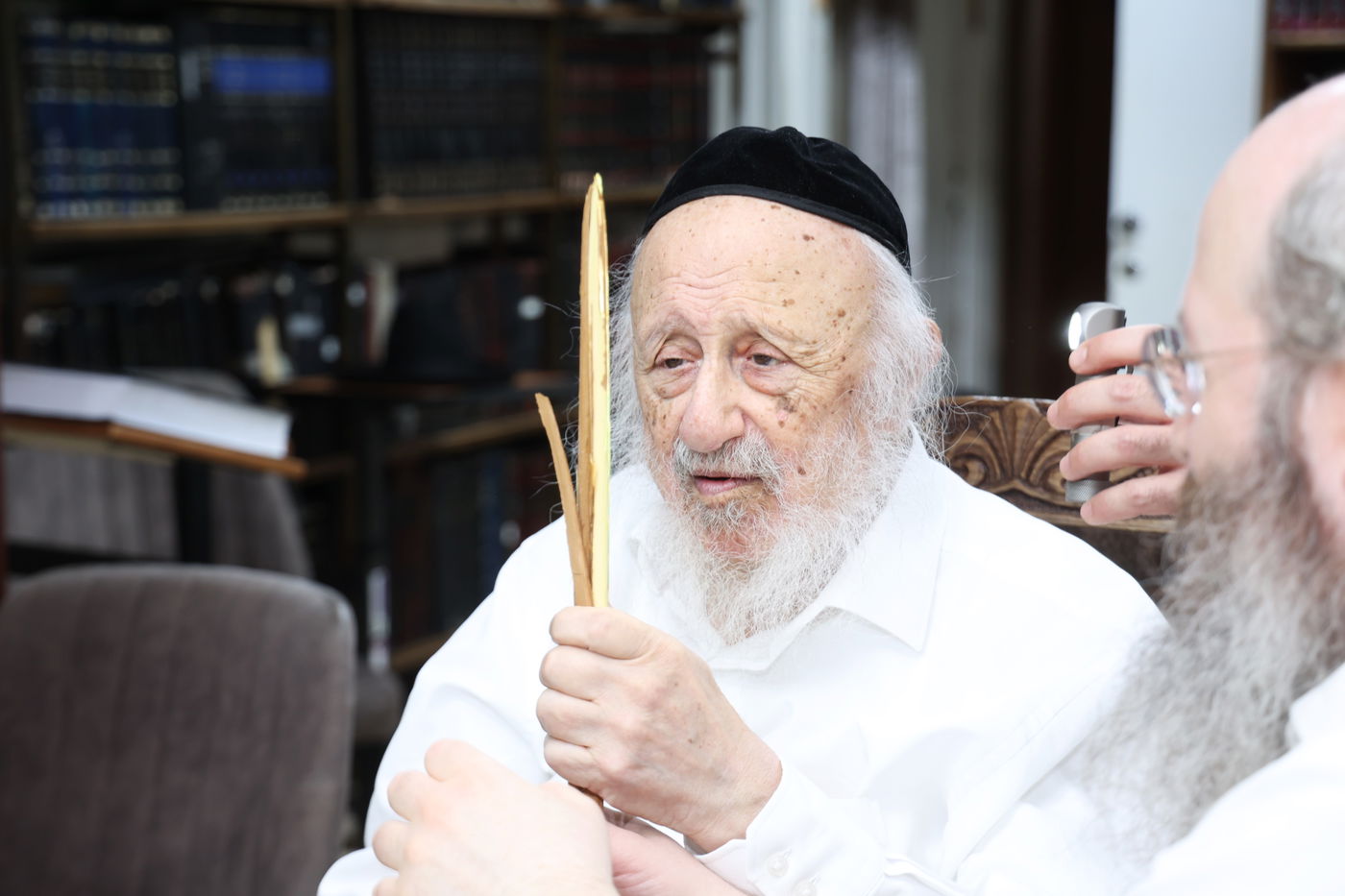 הגרב"ד פוברסקי בבחירת ד' מינים