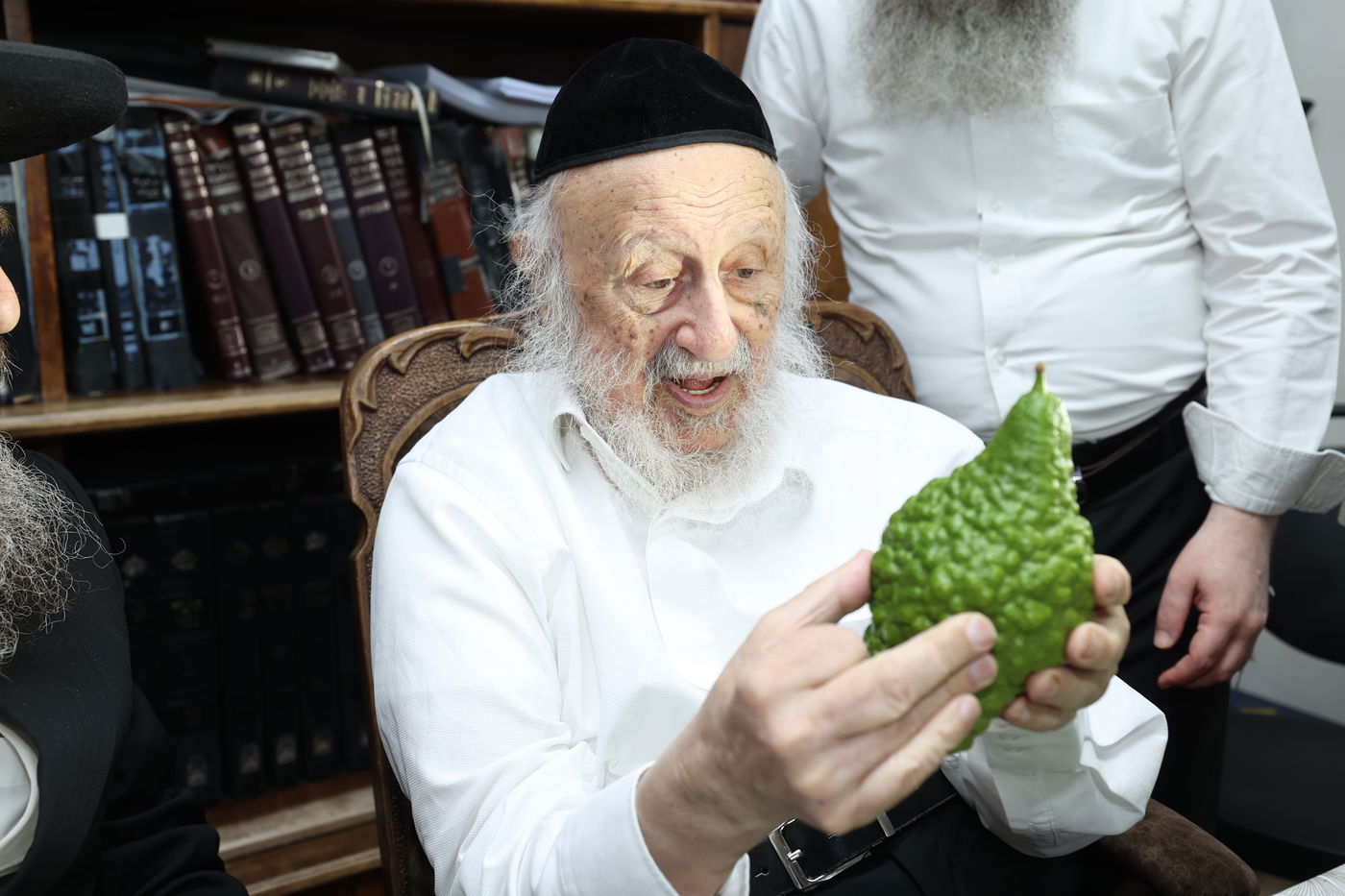 הגרב"ד פוברסקי בבחירת ד' מינים