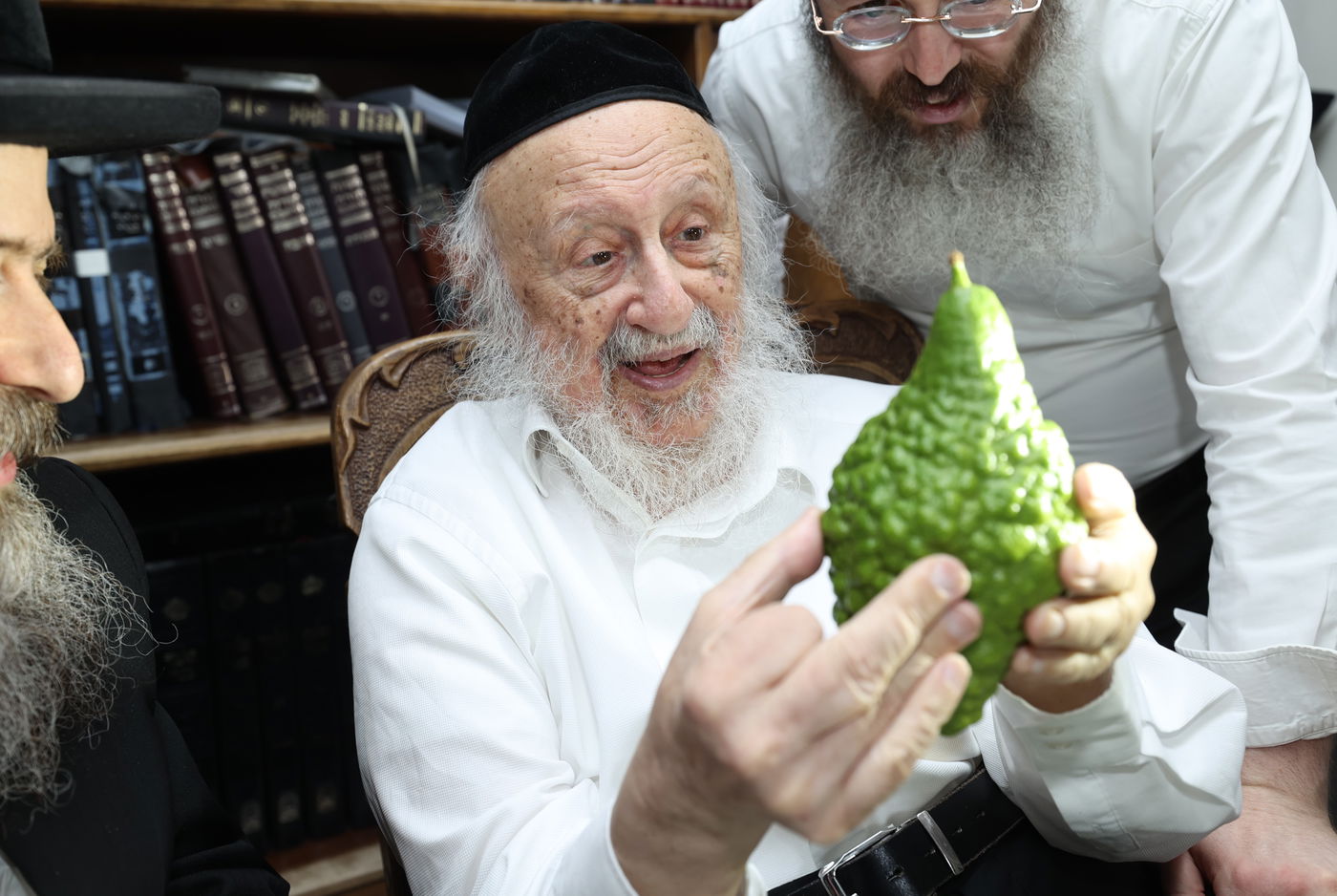 הגרב"ד פוברסקי בבחירת ד' מינים