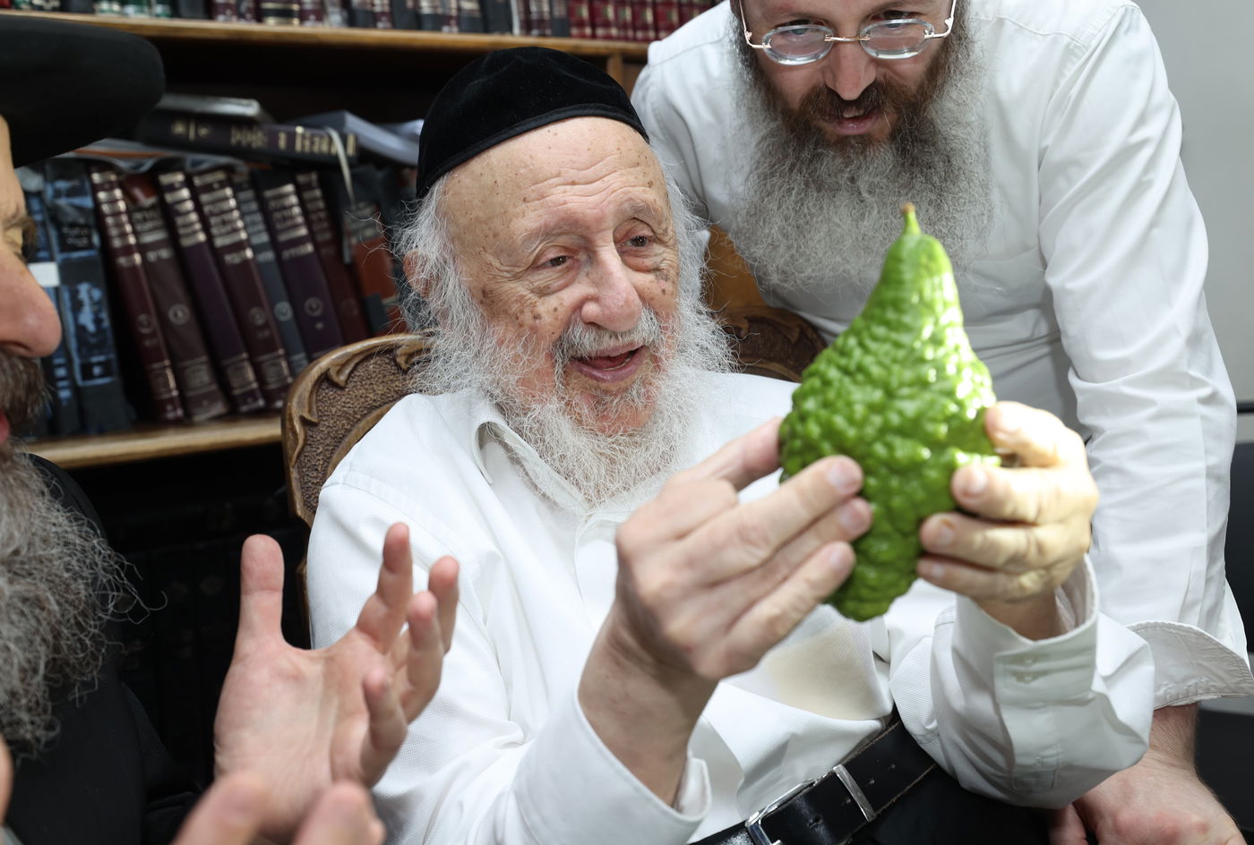 הגרב"ד פוברסקי בבחירת ד' מינים