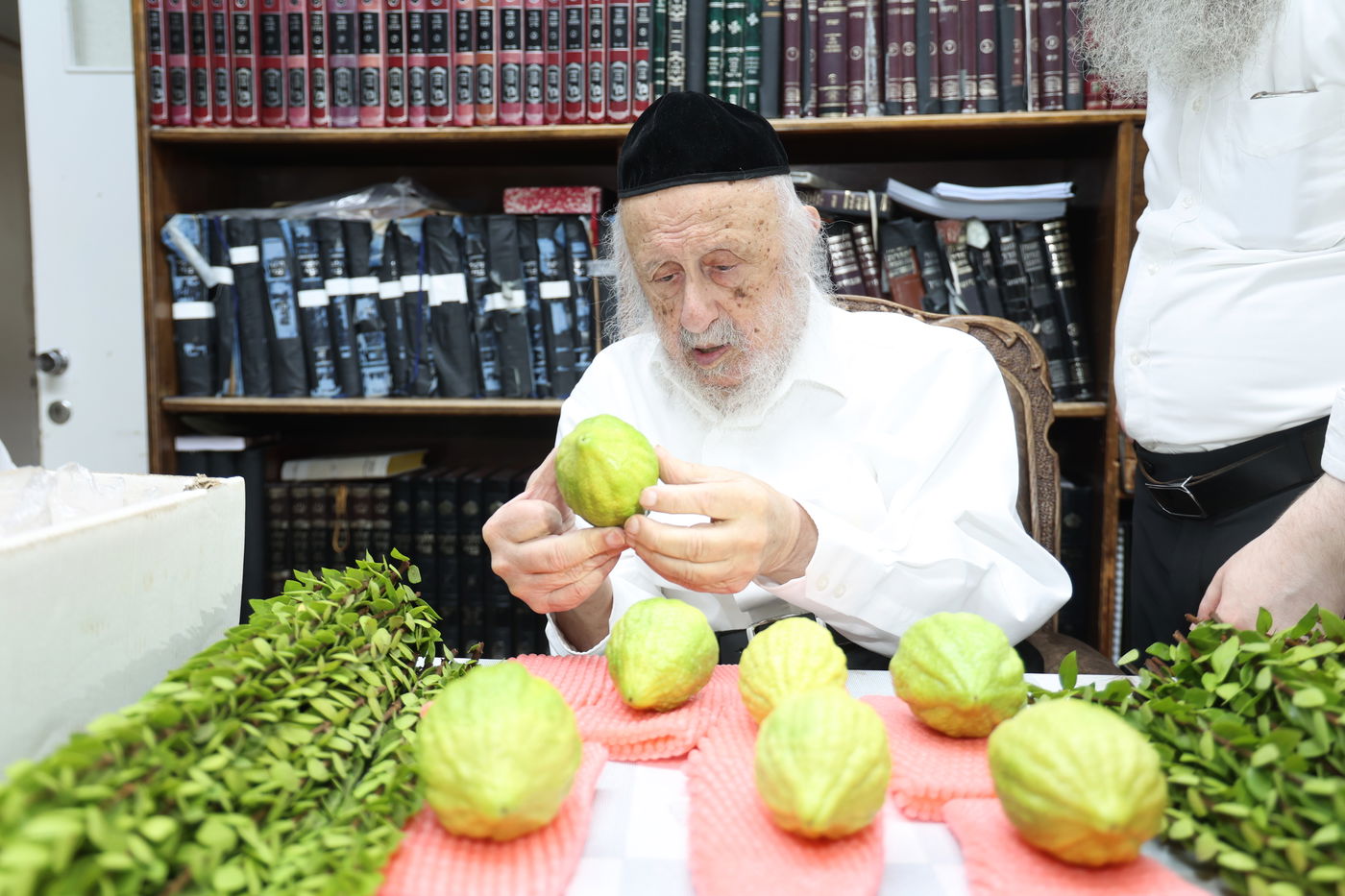 הגרב"ד פוברסקי בבחירת ד' מינים