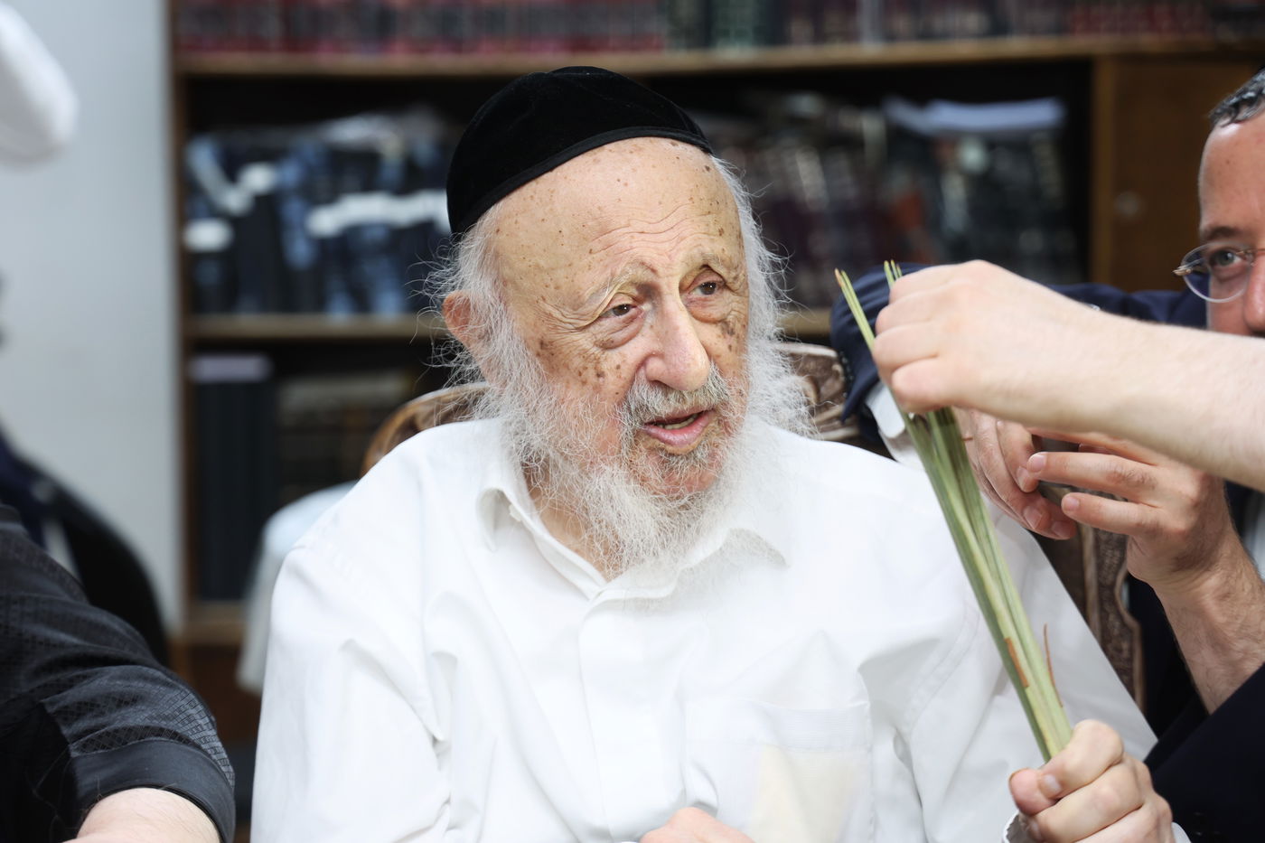 הגרב"ד פוברסקי בבחירת ד' מינים