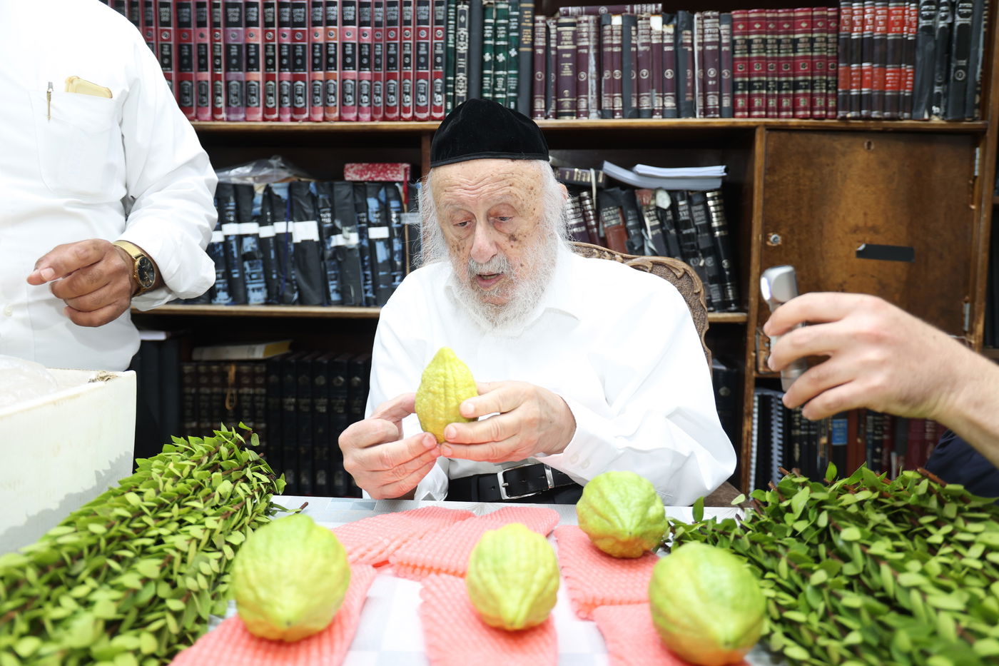 הגרב"ד פוברסקי בבחירת ד' מינים