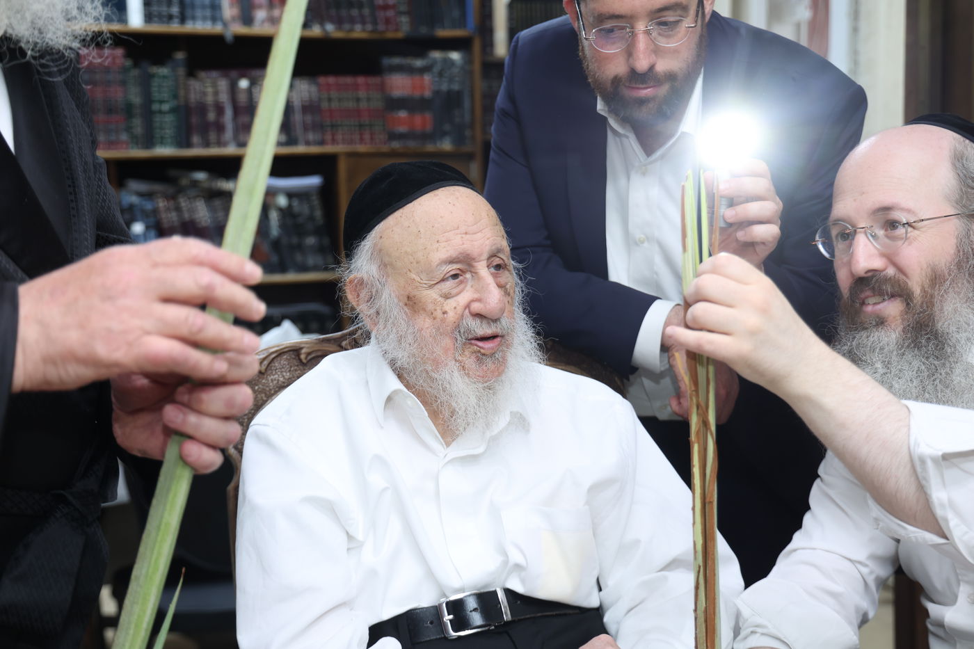 הגרב"ד פוברסקי בבחירת ד' מינים