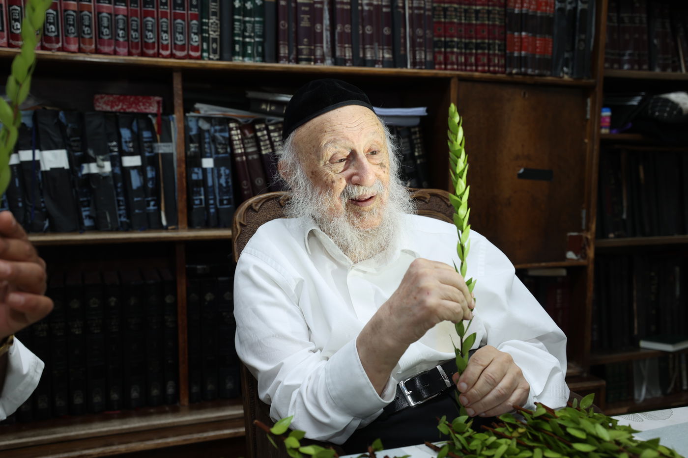 הגרב"ד פוברסקי בבחירת ד' מינים