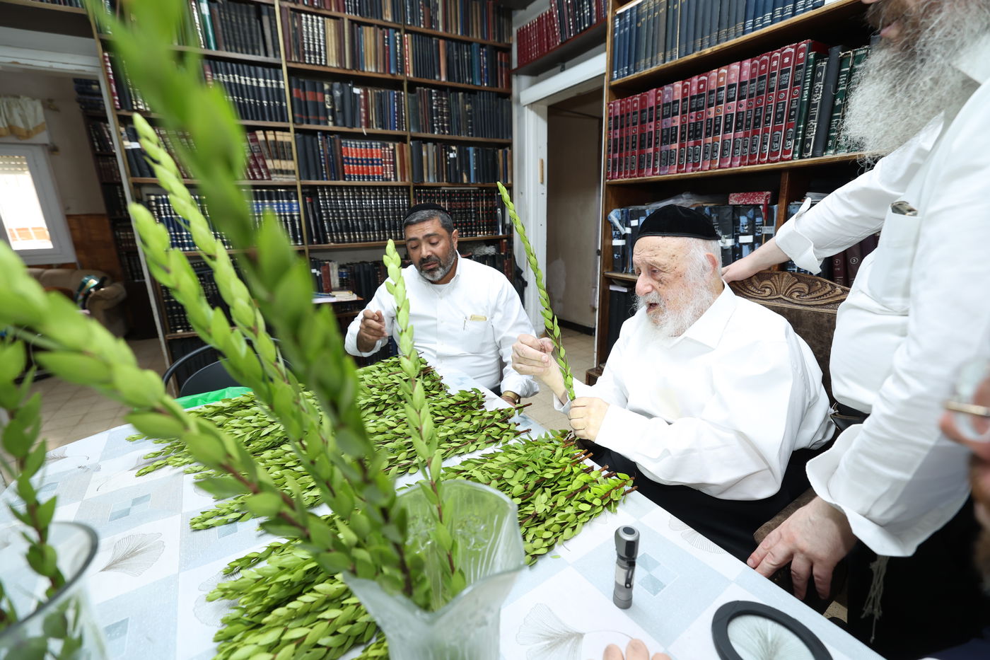 הגרב"ד פוברסקי בבחירת ד' מינים