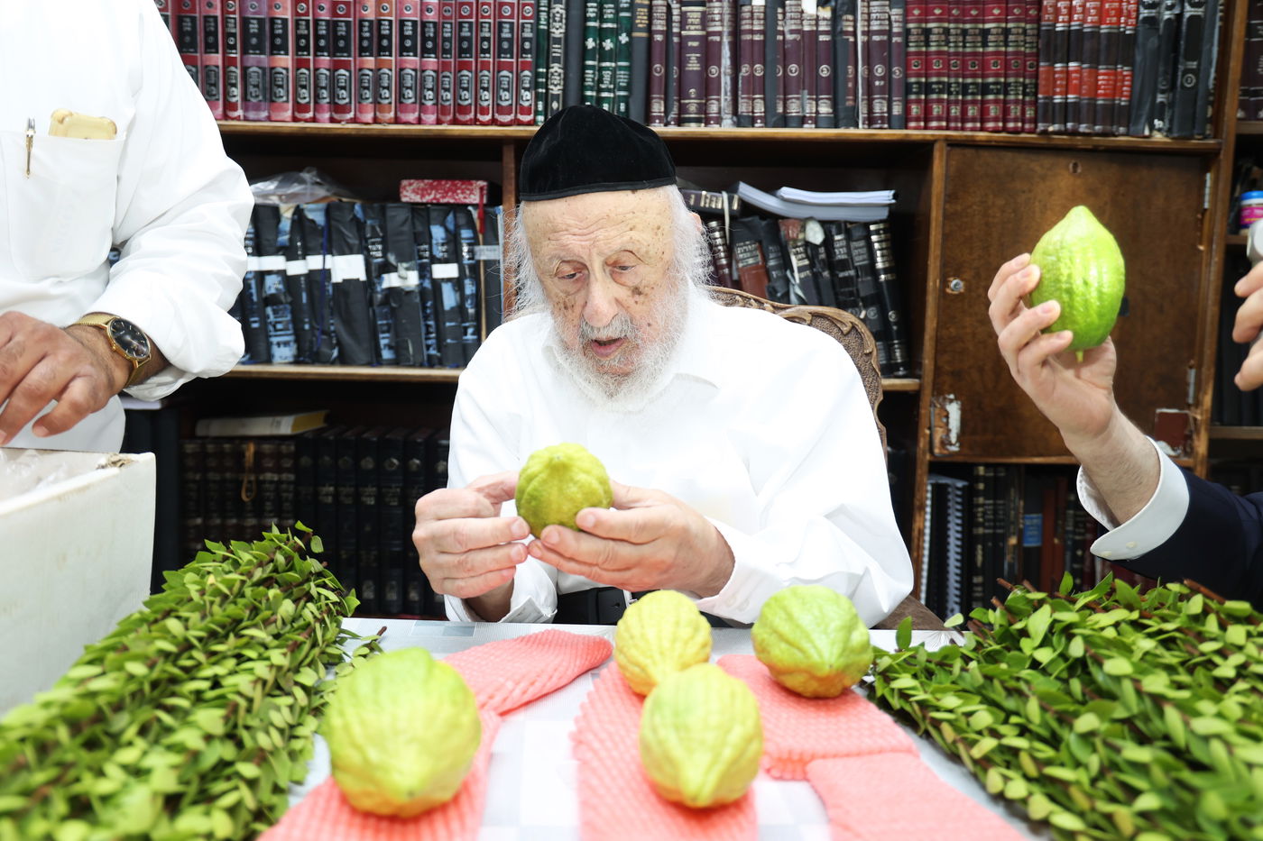 הגרב"ד פוברסקי בבחירת ד' מינים