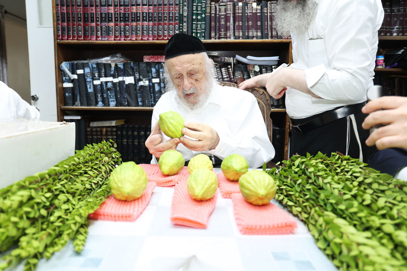 הגרב"ד פוברסקי בבחירת ד' מינים