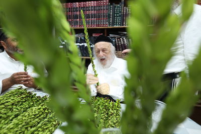 הגרב"ד פוברסקי בבחירת ד' מינים