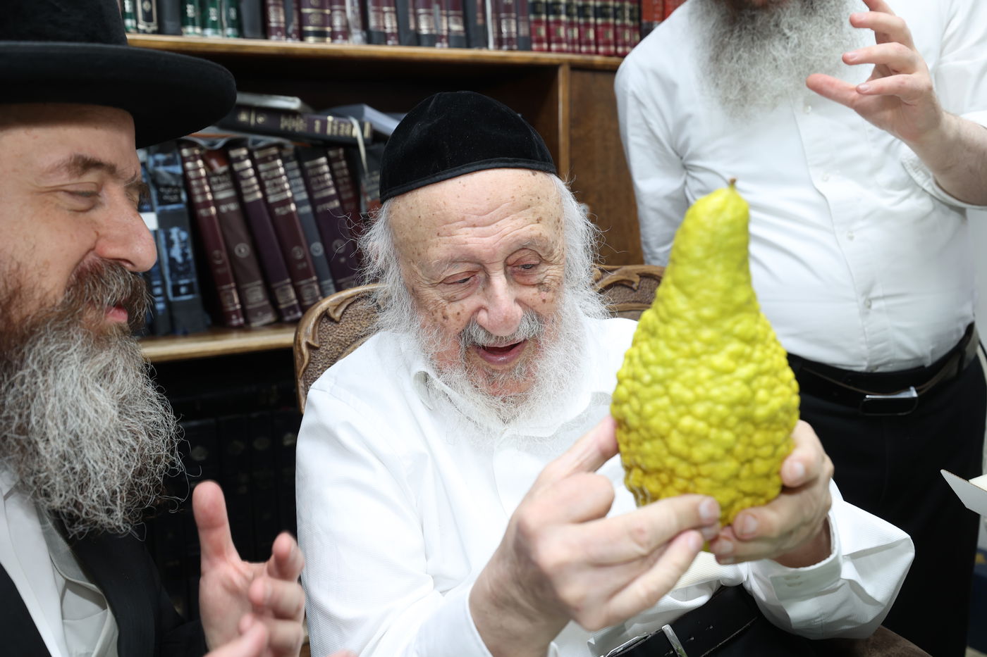 הגרב"ד פוברסקי בבחירת ד' מינים