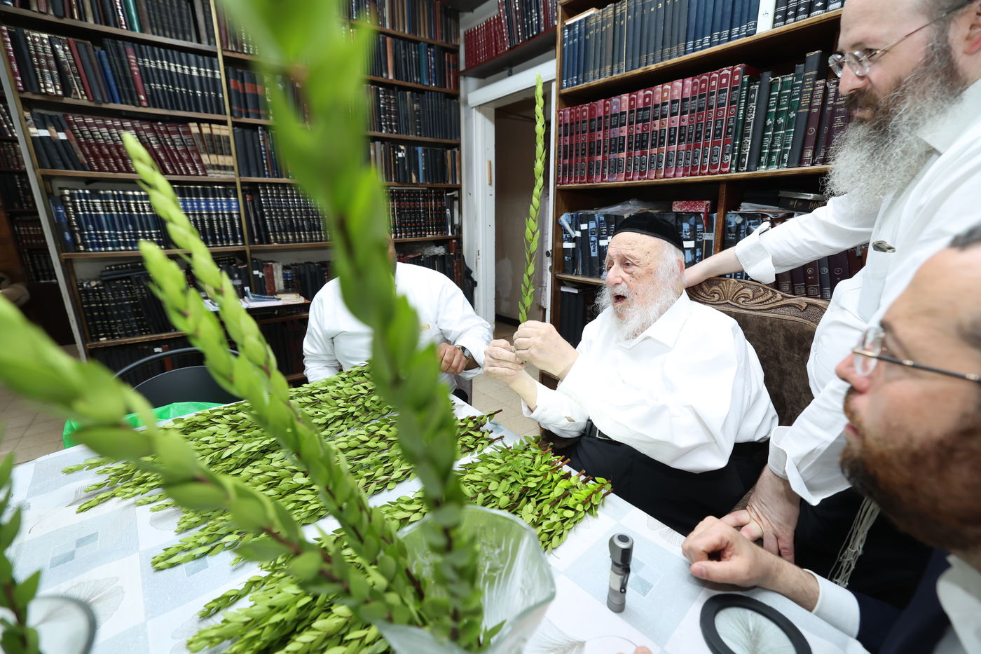 הגרב"ד פוברסקי בבחירת ד' מינים