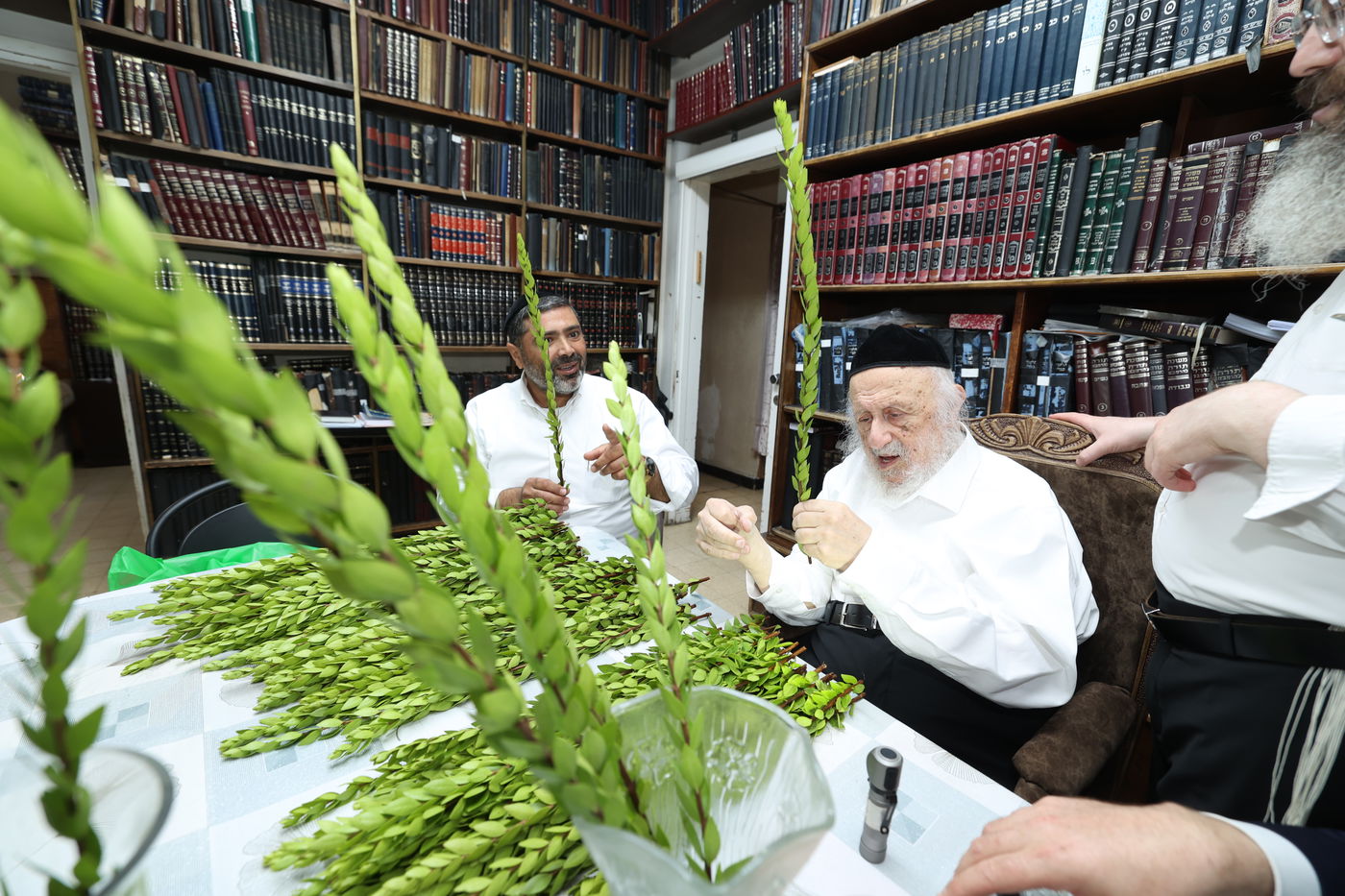 הגרב"ד פוברסקי בבחירת ד' מינים