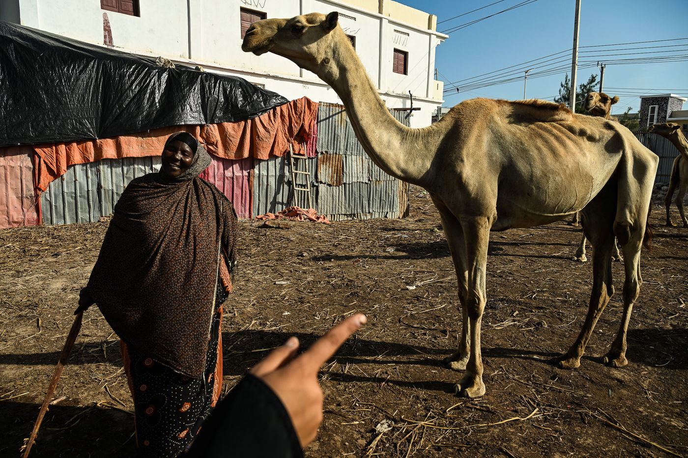 מסע מסוכן בסומליה