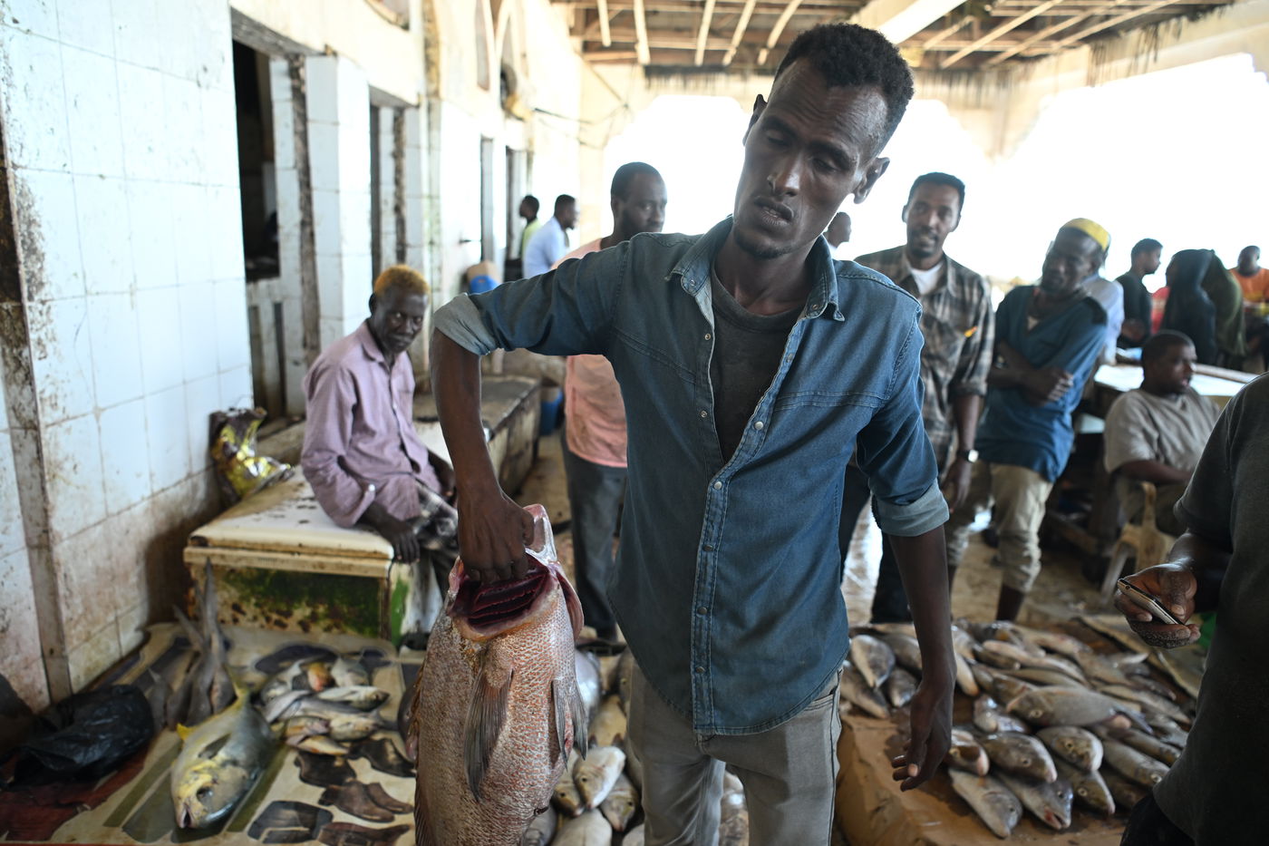 מסע מסוכן בסומליה