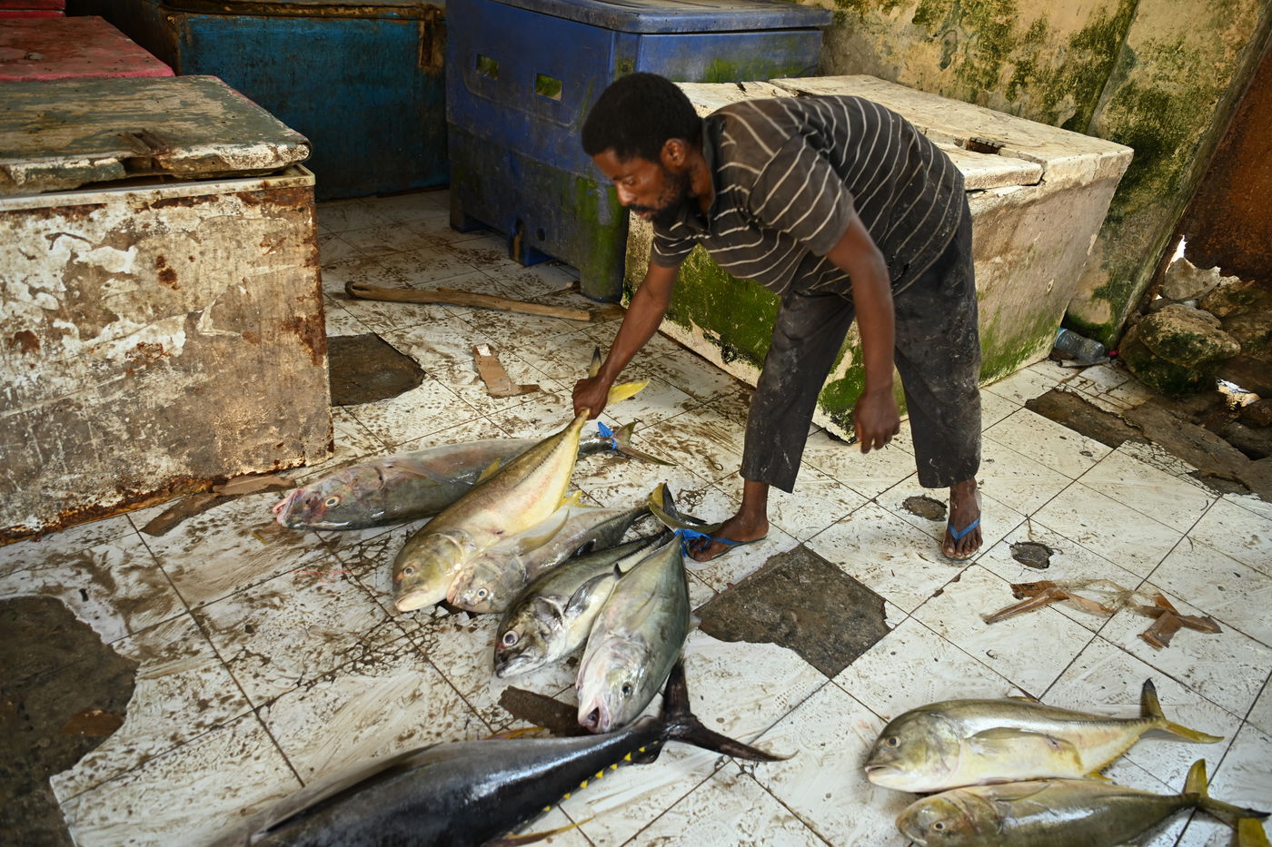 מסע מסוכן בסומליה
