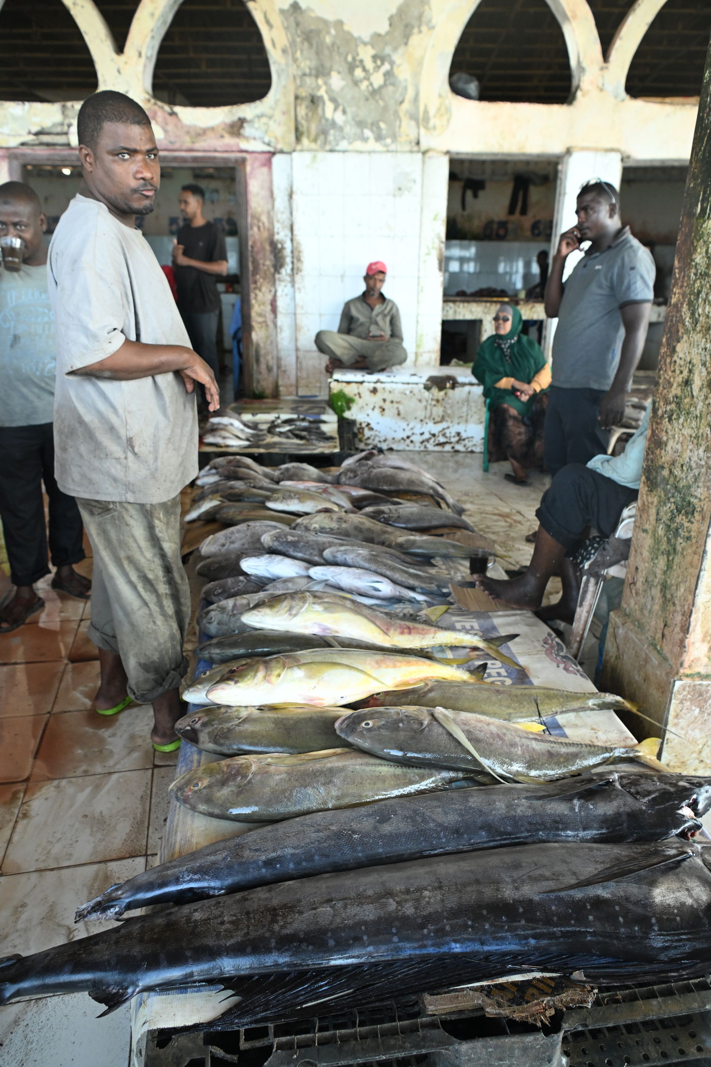 מסע מסוכן בסומליה