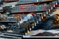 מנכ"ל ומייסד ארגון 'קמא-טק' מתברך במעונו של הגרב"ד פוברסקי