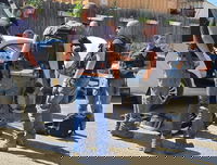 זירת הפיגוע במלון בקיבוץ צובה