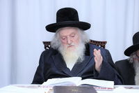 הגאון רבי משה שטרנבוך