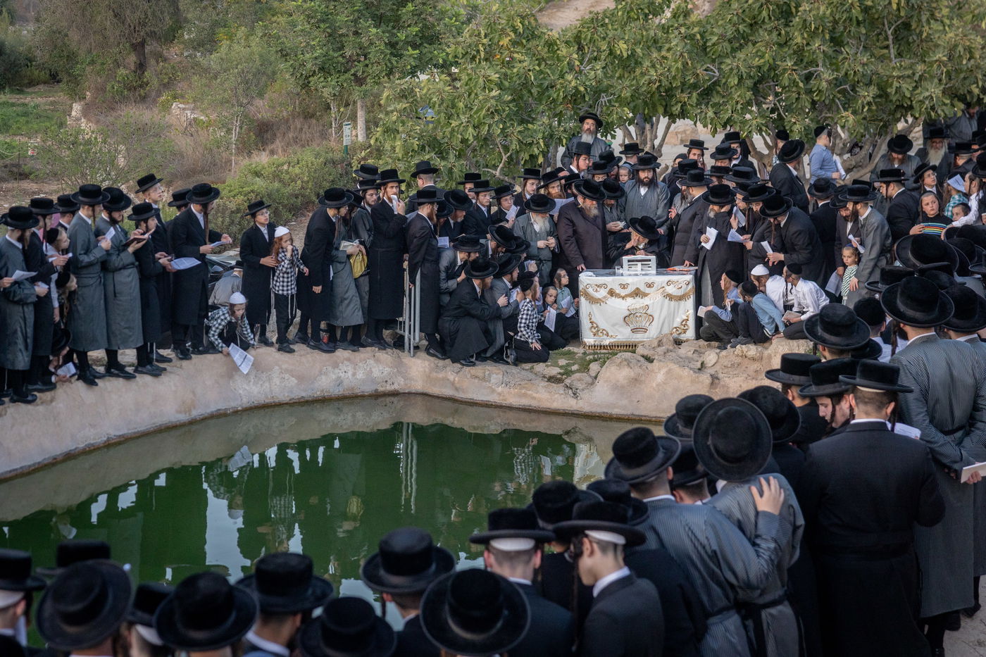 חסידי תולדות אברהם יצחק בתשליך