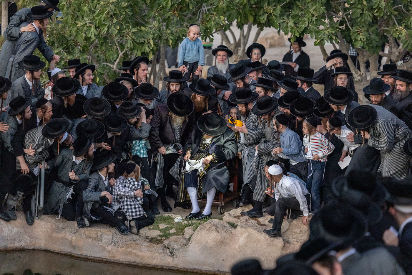 חסידי תולדות אברהם יצחק בתשליך