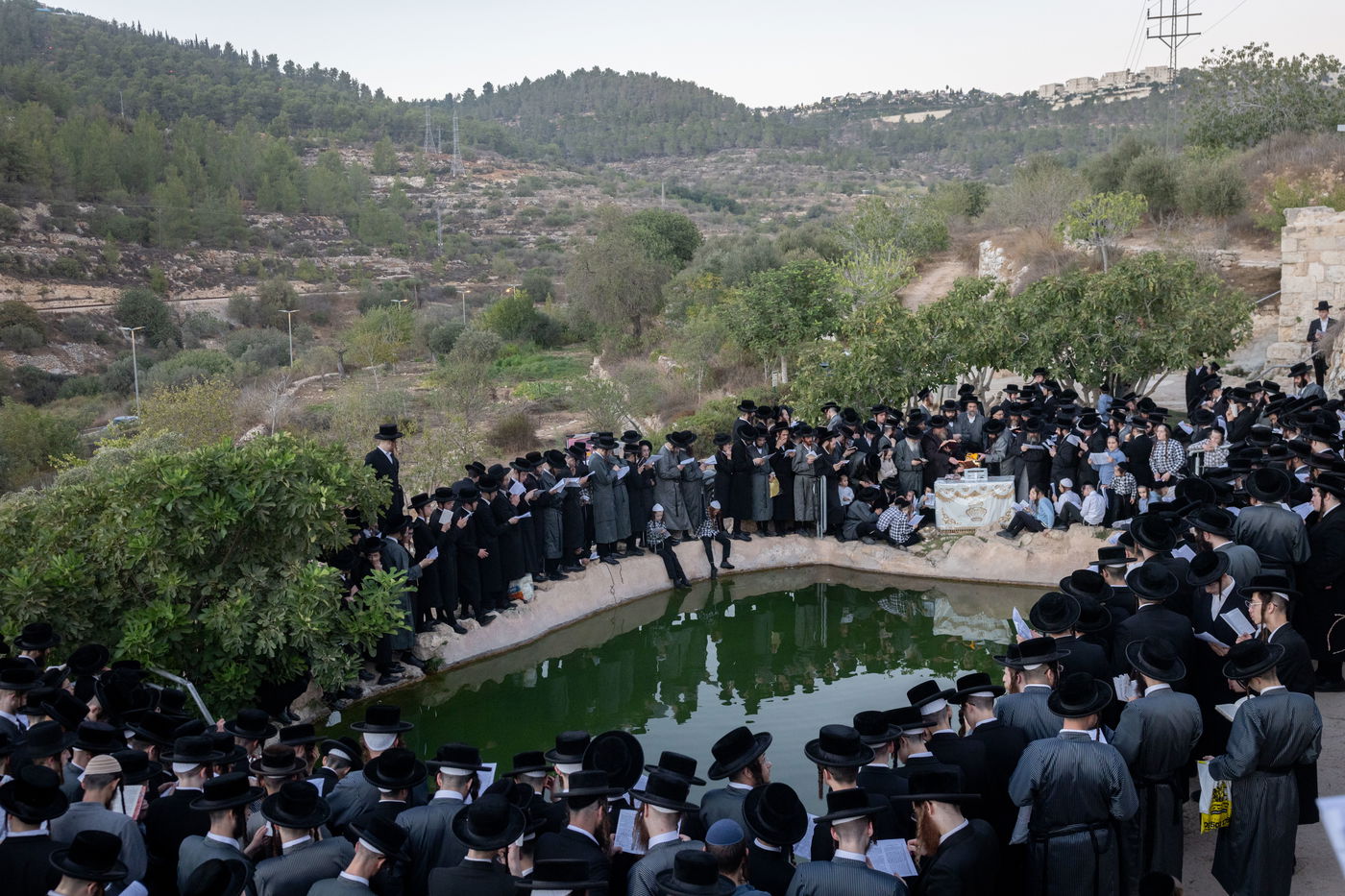 חסידי תולדות אברהם יצחק בתשליך